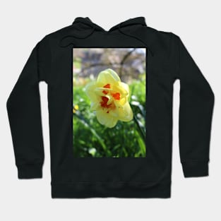 Narcissus Tahiti Hoodie